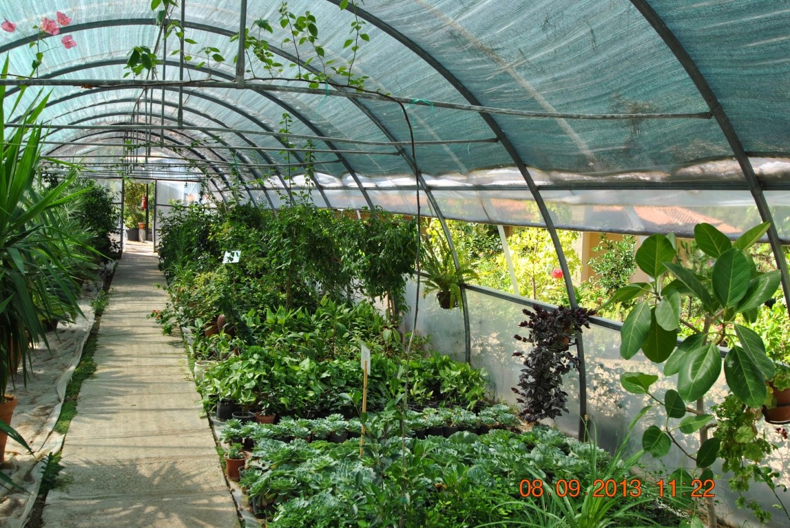 imagini hotel LYKIA WORLD OLUDENIZ